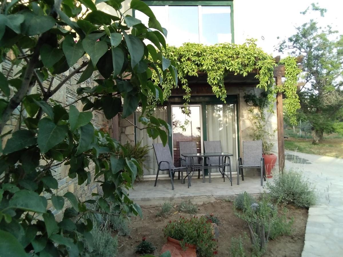 Αμυγδαλιές 33 Μύρινα别墅 外观 照片