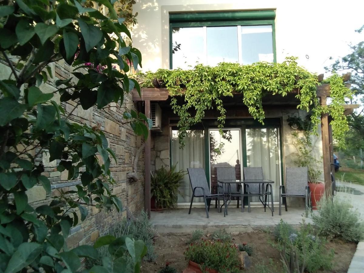 Αμυγδαλιές 33 Μύρινα别墅 外观 照片