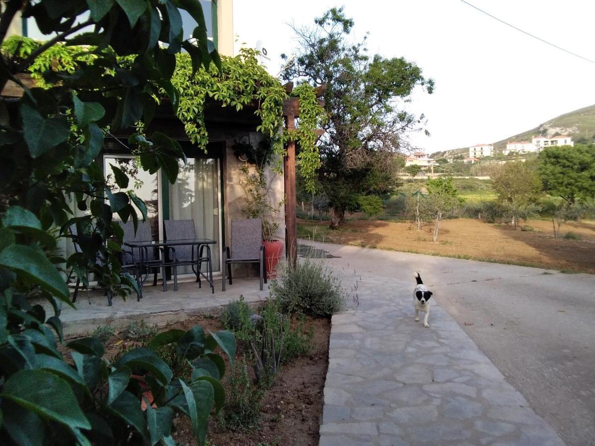 Αμυγδαλιές 33 Μύρινα别墅 外观 照片